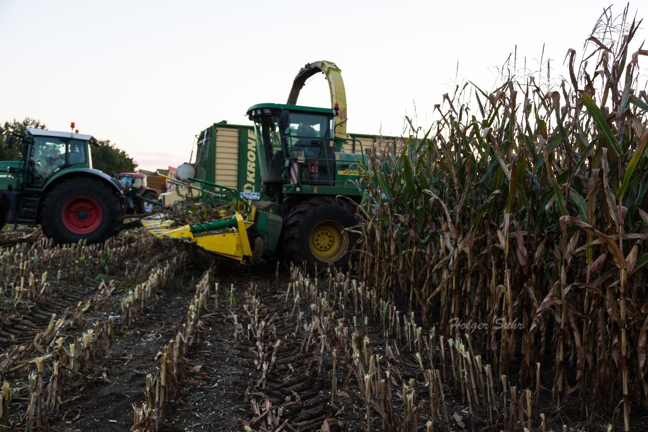 Bild 36 - Maisernte am 11.10.12